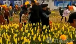 爆料社会新闻网红,真相与争议并存