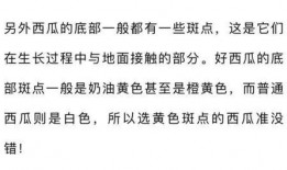 爱言吃瓜全文免费阅读,揭秘娱乐圈背后的秘密与真相